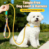 Heavy-Duty Polyester Slip Lead for Small and Medium Dogs