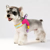 Y-Front Vest Dog Harness with Leash
