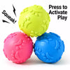 Paw Print Squeaky Ball Dog Toy