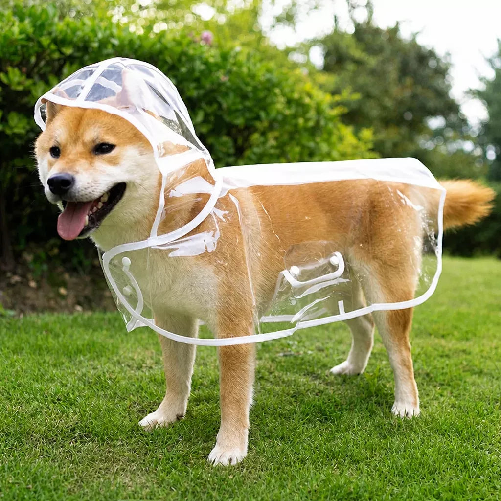 Transparent EVA Raincoat for Dogs