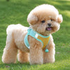 Nylon Dog Harness and Leash for Small Dogs