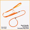All-in-One Dog Collar and Leash