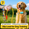 Nylon Dog Training Leash