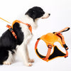 Vest-Style Dog Harness with Retractable Leash