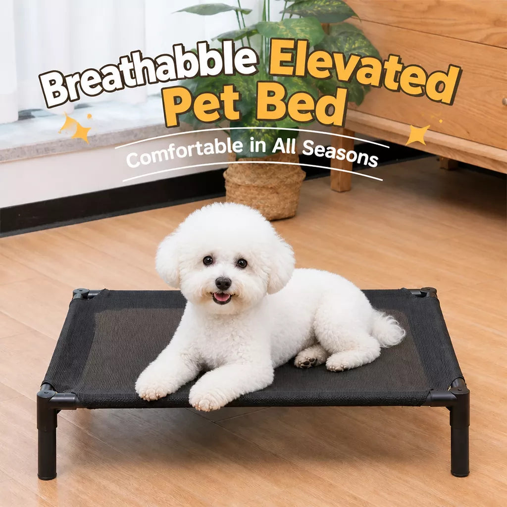 Elevated Dog & Cat Bed with Removable, Washable Pad