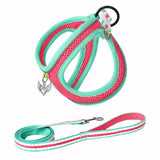 Adjustable Dog Harness with 4.6-ft Leash for Small Dogs