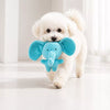 Squeaky Dog Toys for Puppies and Small to Medium Dogs