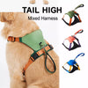 Nylon Harness with Integrated Retractable Leash for Dogs