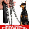Stainless Steel Chain Leash for Dogs