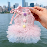 Lace Pet Dress with Gradient Full Skirt for Small Dogs and Cats