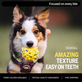 Sea Urchin Ball Dog Toy