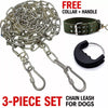 Chain Dog Leash for Walking and Tethering