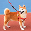 Adjustable Nylon Dog Harness with Leash Option