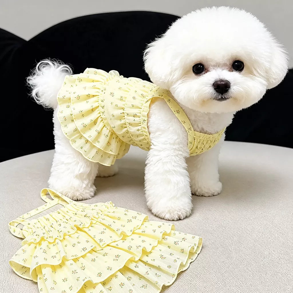 Cotton Pet Dress with Tiered Skirt