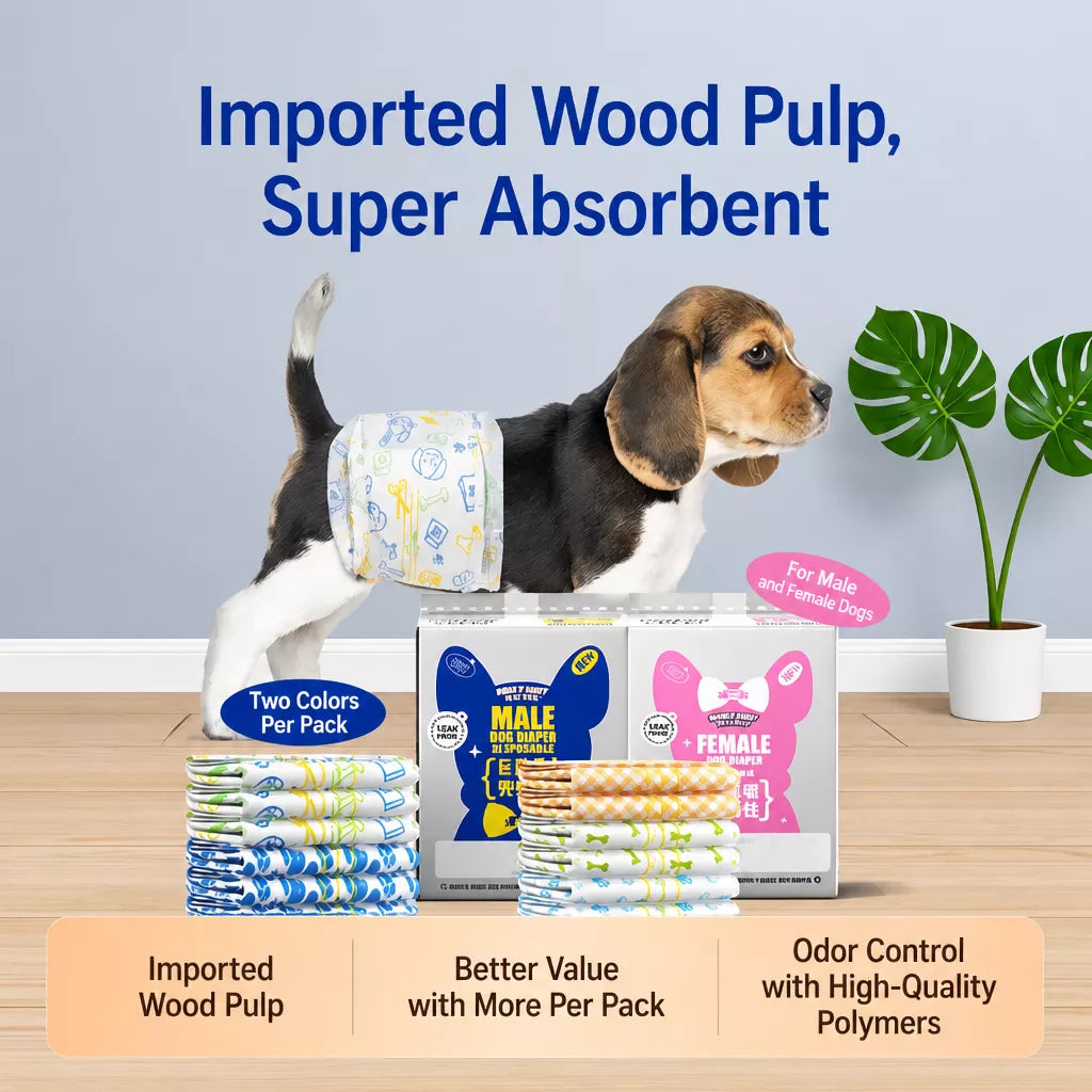 Disposable Pull-On Dog Diapers for Male and Female Dogs