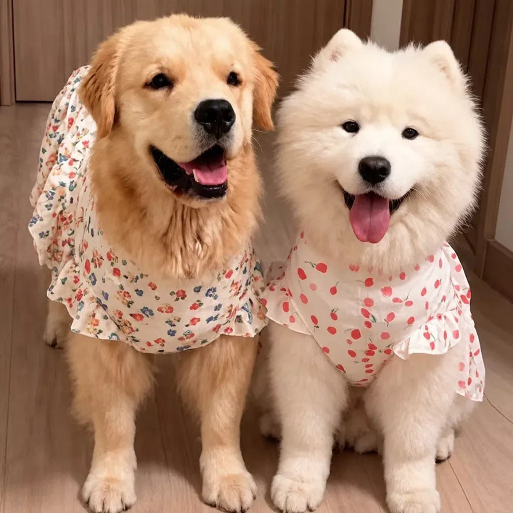 Lightweight Spring & Summer Dog Dress