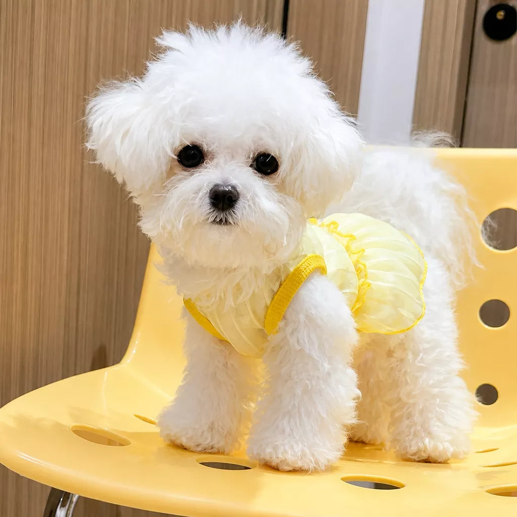 Silk Heart Cutout Ruffle Dress for Small Dogs & Cats