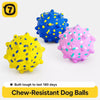 E-TPU Dog Toy Ball