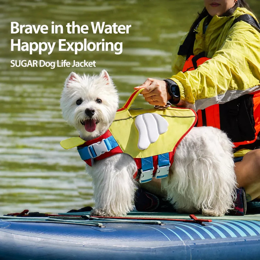Dog Life Jacket for Swimming and Outdoor Adventures