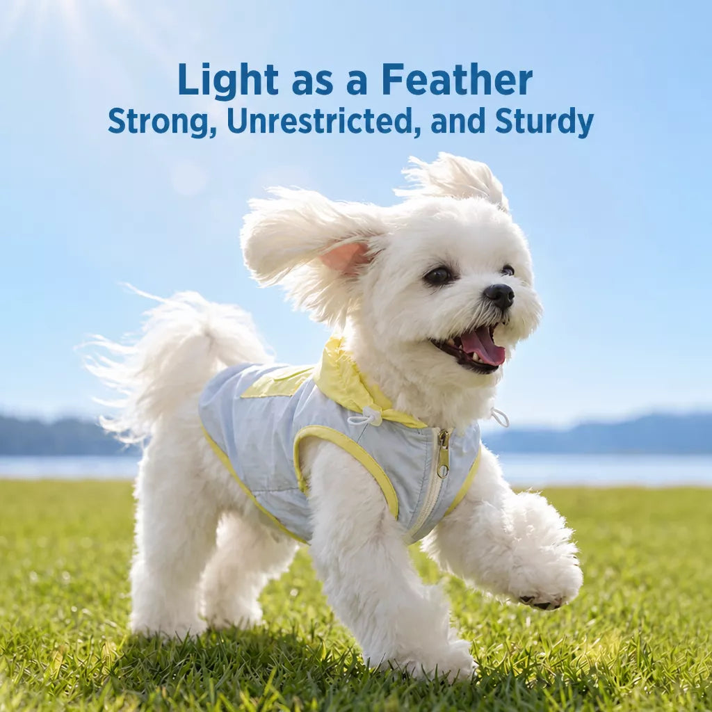 Summer Pet Shirt for Small Dogs