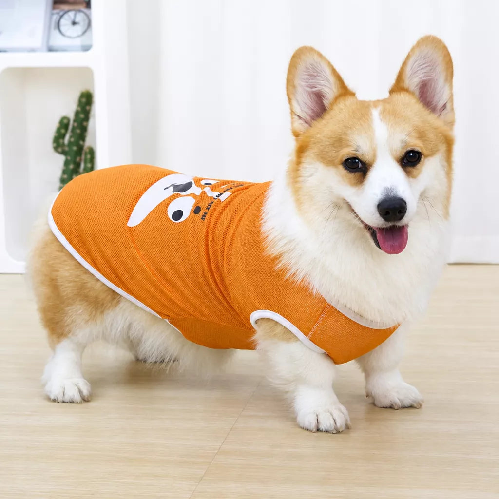 Lightweight Nylon Dog Vest for Everyday Wear