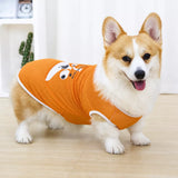 Lightweight Nylon Dog Vest for Everyday Wear