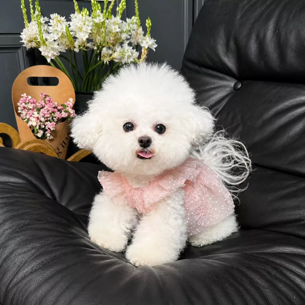 Pet Princess Dress with Leash Ring for Small Dogs and Cats
