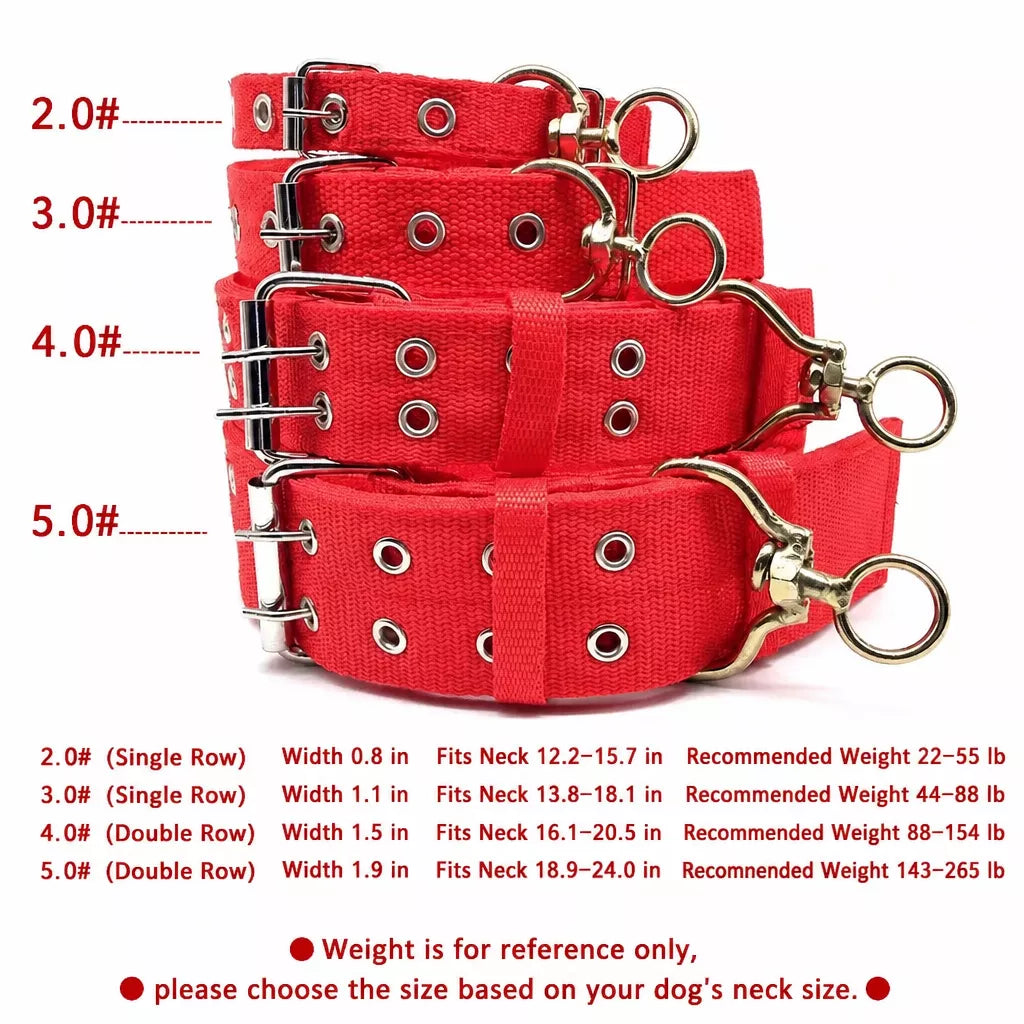 Adjustable Nylon Dog Collar