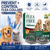 Adjustable Faux Leather Collar for Cats & Dogs