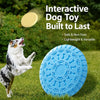 Soft Frisbee Dog Toy for Fetch and Outdoor Training