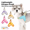 Nylon Round Rope Dog Leash for Small to Medium Dogs
