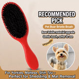 Boar Bristle Grooming Comb for Dogs and Cats