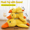 Plush Squeaky Dog Toys