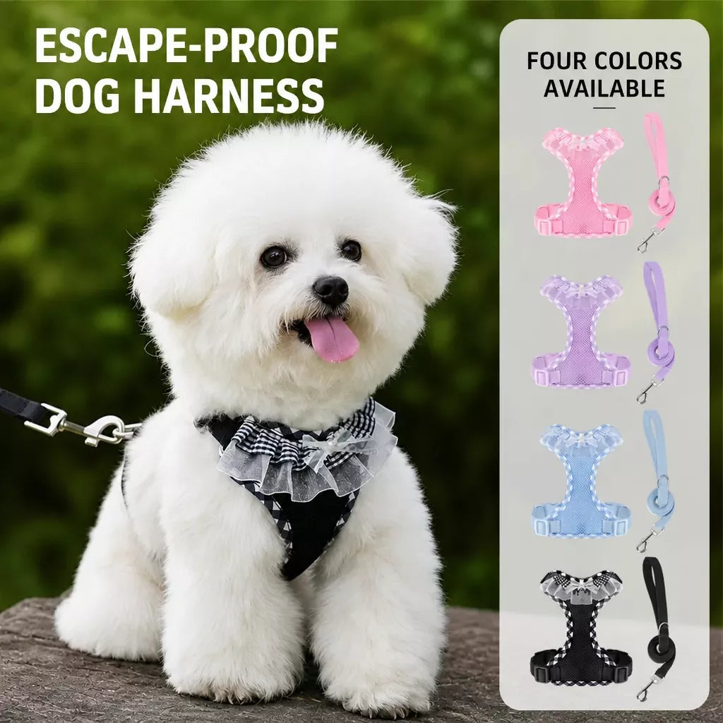 Dog Harness with 6.6-Ft Leash