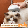 Quiet Electric Cat Massage Tool