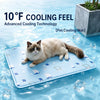 Pet Foam Bed with Nylon Cover
