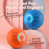 Interactive Squeaky Jumping Ball Dog Toy