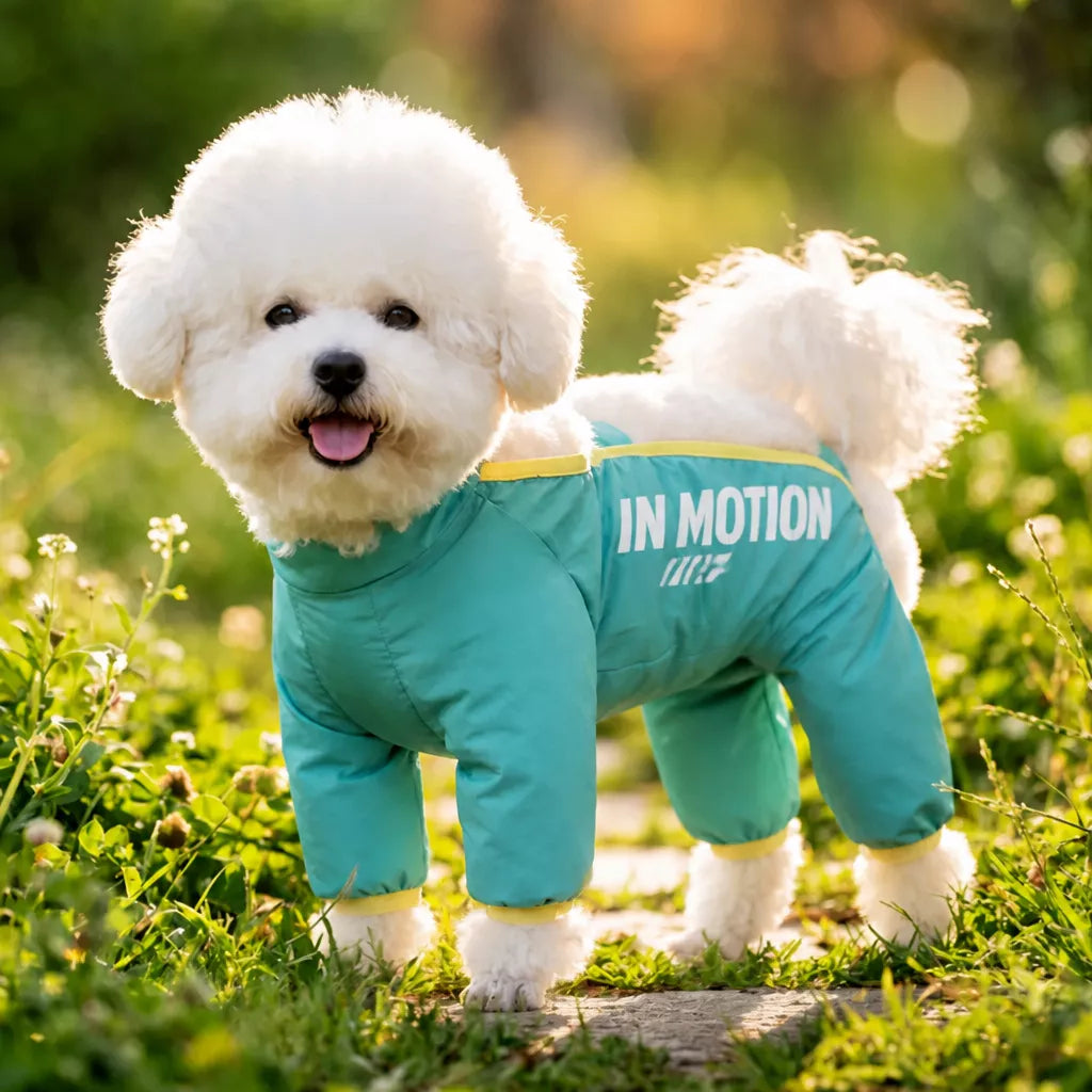 Synthetic Leather Four-Leg Dog Jumpsuit for Outdoor Walks