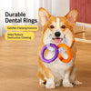 Dog Tug Ring Toy for Interactive Play
