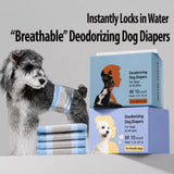 Dog Diapers for Male & Female Dogs