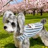 Lightweight Cotton Dog Graphic Pet Shirt for Cats & Dogs