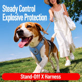 Dog Harness and Leash Set for Small to Medium Dogs
