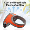 Small Dog Harness and Leash Set