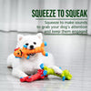 Squeaky Latex Dog Toy for Small and Medium Dogs
