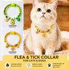 Adjustable Nylon Pet Collar with Wooden Accent and Bell