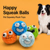 Plush Squeaky Ball Toy for Dogs