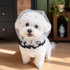 Breathable Mesh Dog Muzzle for Small to Medium Dogs