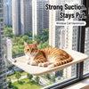 Suction Cup Cat Window Hammock