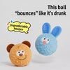 Squeaky Bouncy Ball Toy for Dogs
