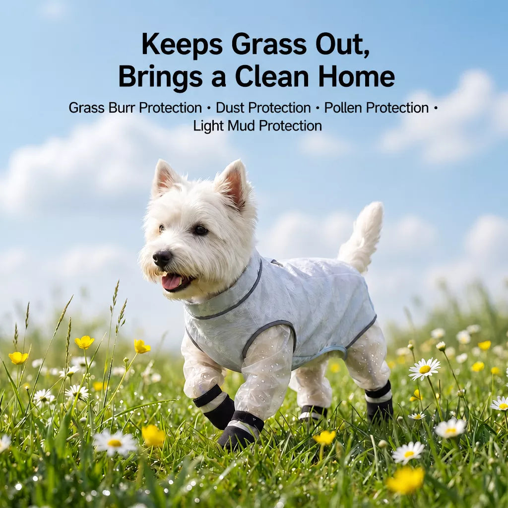 Lightweight Four-Leg Mesh Suit for Small Dogs